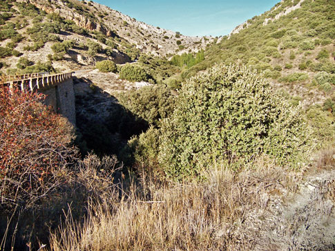 Patrimonio natural de Aguatón
