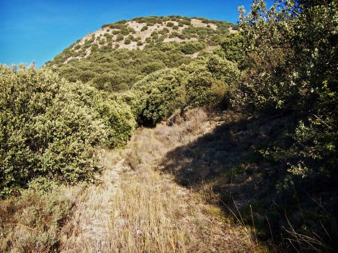 Patrimonio natural de Aguatón