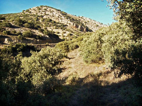 Patrimonio natural de Aguatón