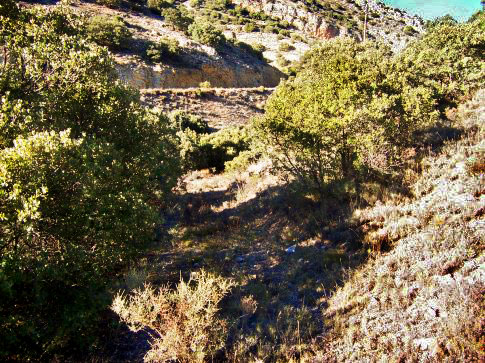 Patrimonio natural de Aguatón