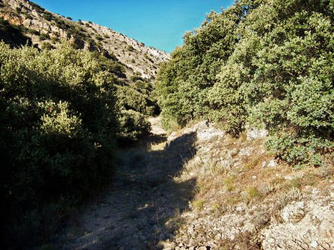 Patrimonio natural de Aguatón