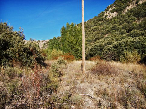 Patrimonio natural de Aguatón