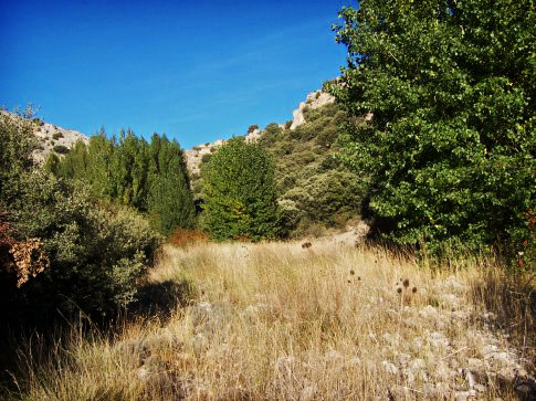 Patrimonio natural de Aguatón