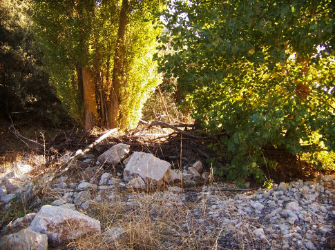 Patrimonio natural de Aguatón