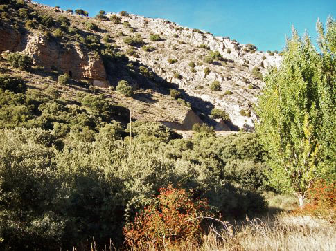 Patrimonio natural de Aguatón