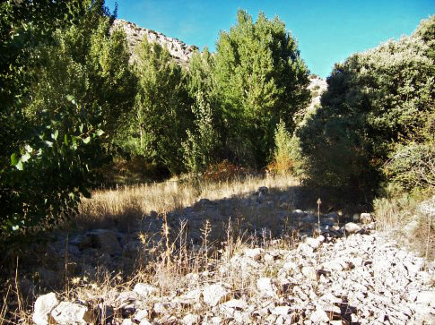 Patrimonio natural de Aguatón