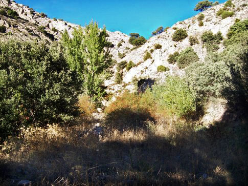 Patrimonio natural de Aguatón