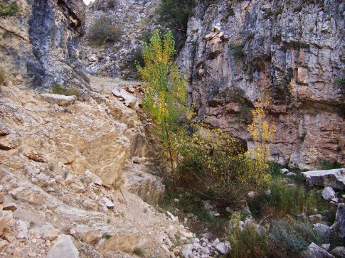 Patrimonio natural de Aguatón