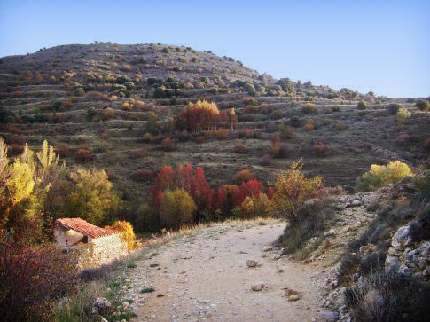 Patrimonio natural de Aguatón