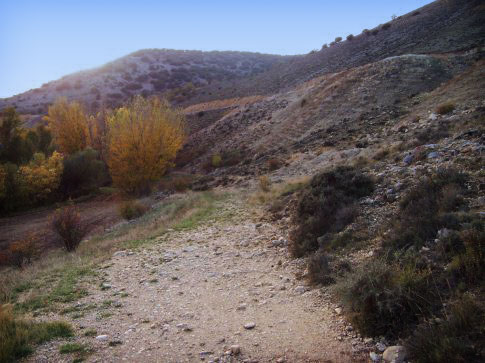 Patrimonio natural de Aguatón