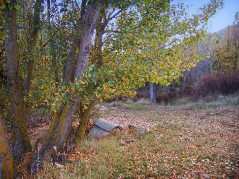 Patrimonio natural de Aguatón