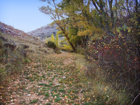Patrimonio natural de Aguatón