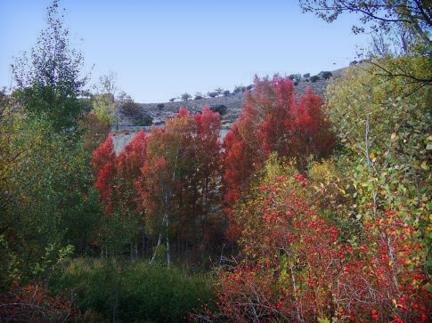 Patrimonio natural de Aguatón