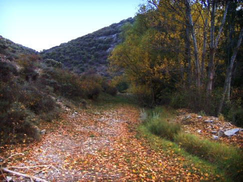 Patrimonio natural de Aguatón