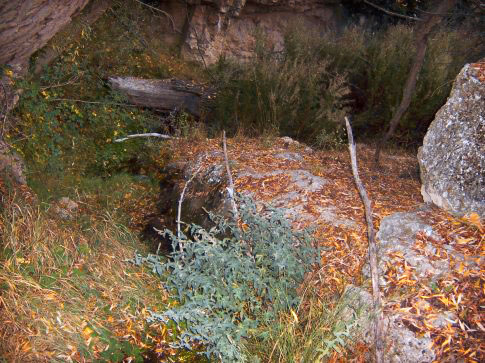 Patrimonio natural de Aguatón