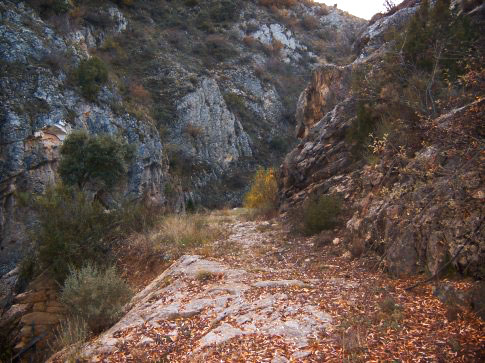 Patrimonio natural de Aguatón