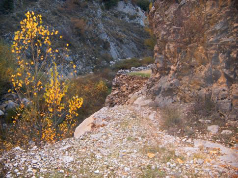 Patrimonio natural de Aguatón